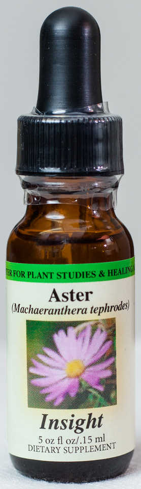 Aster (Insight) Flower Essence - Center for Plant Studies & Healing Arts.