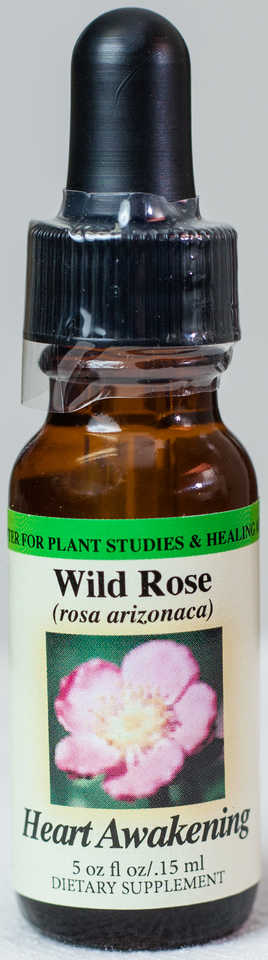 Wild Rose (Heart Awakening) Flower Essence - Center for Plant Studies & Healing Arts.