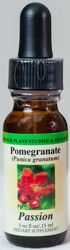 Pomegranate (Passion) Flower Essence - Center for Plant Studies & Healing Arts.