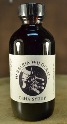 Osha Syrup - Herberia Wildcraft
