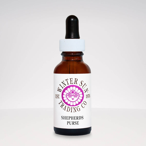 Shepherds Purse herbal tincture 1 oz. - Winter Sun Trading Co.