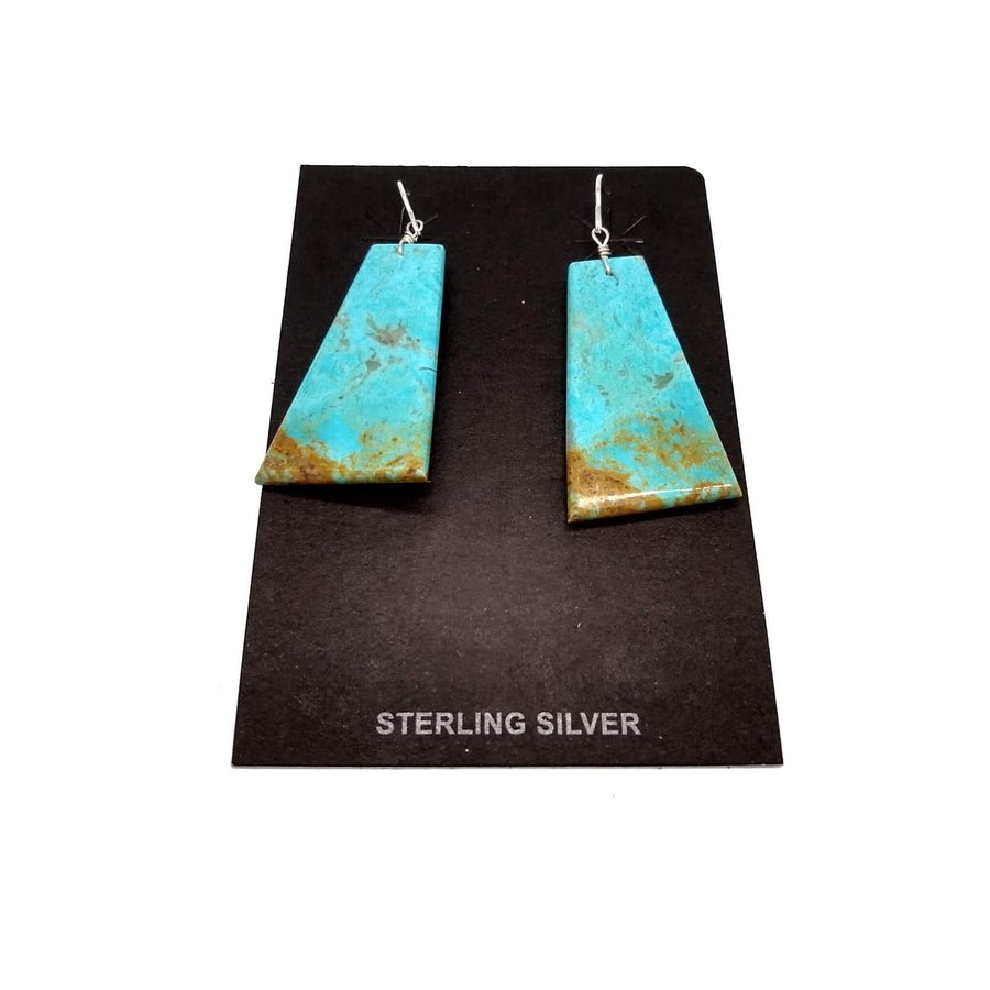 Beautiful Turquoise Earrings