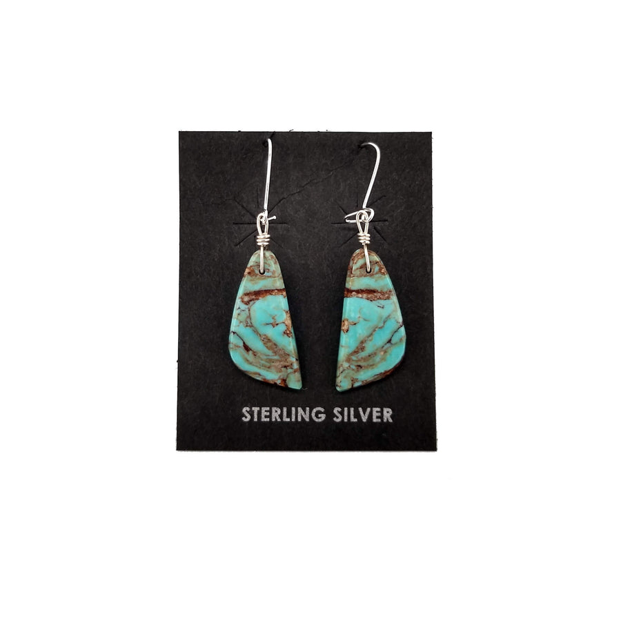 Gorgeous Turquoise Earrings