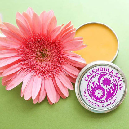 Calendula Salve 4 oz.  tin containter that is open, showing the beautiful yellowish orange color of the saleve. There is a big, beautiful pink flower sitting next to it. It is all on a green background, providing nice contrast.