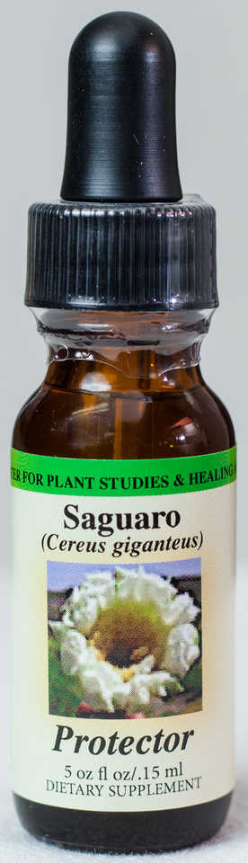 Saguaro (Protector) Flower Essence  - Center for Plant Studies & Healing Arts.