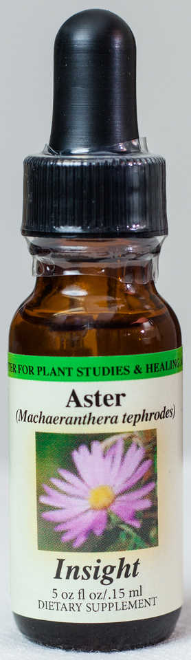 Aster (Insight) Flower Essence  - Center for Plant Studies & Healing Arts.