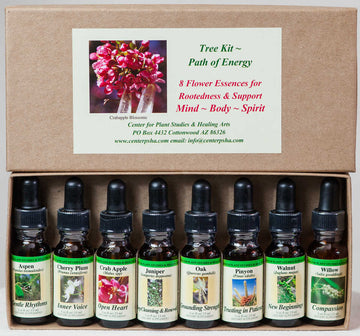 Tree Kit ~ Path of Energy Flower Essences  - Center for Plant Studies & Healing Arts.