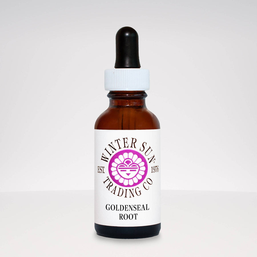 Goldenseal Root herbal tincture 1 oz. - Winter Sun Trading Co.