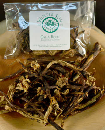 Osha Root (dry)  - Winter Sun Trading Co.