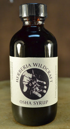 Osha Syrup  - Herberia Wildcraft