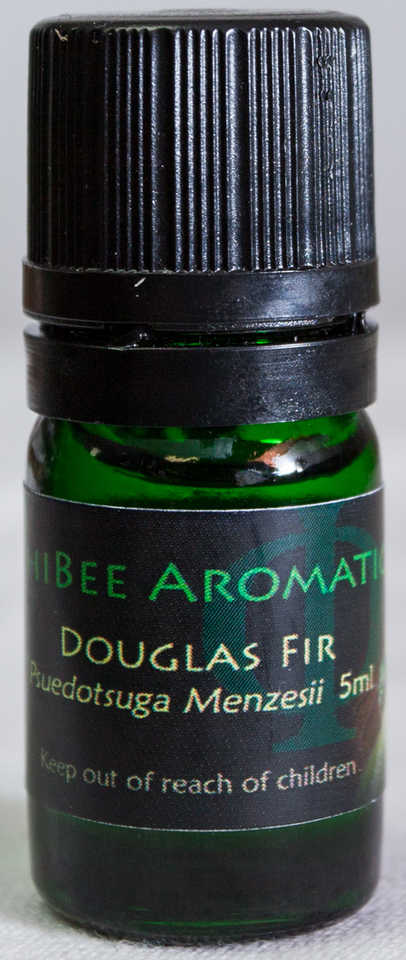 Douglas Fir Essential Oil - 5 mL  - PhiBee Aromatics