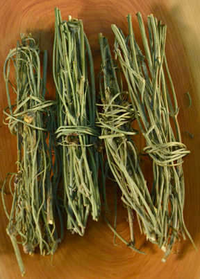Wild Tea  - Winter Sun Trading Co.